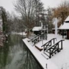 Winterschlaf